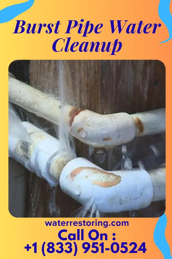 Burst Pipe Water Cleanup in Grant, NE