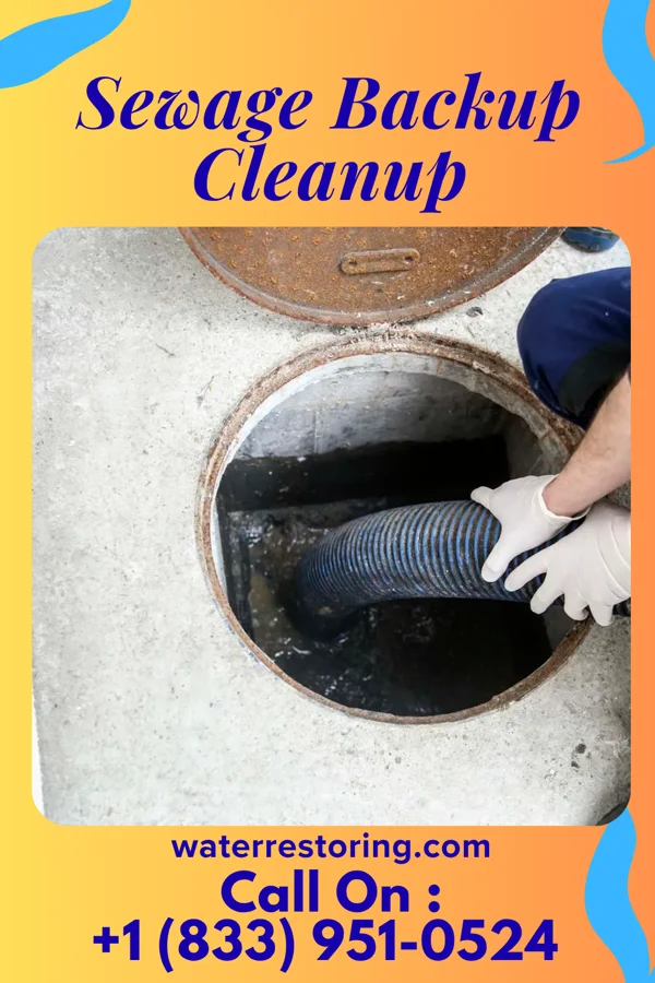 Sewage Backup Cleanup in Grant, NE